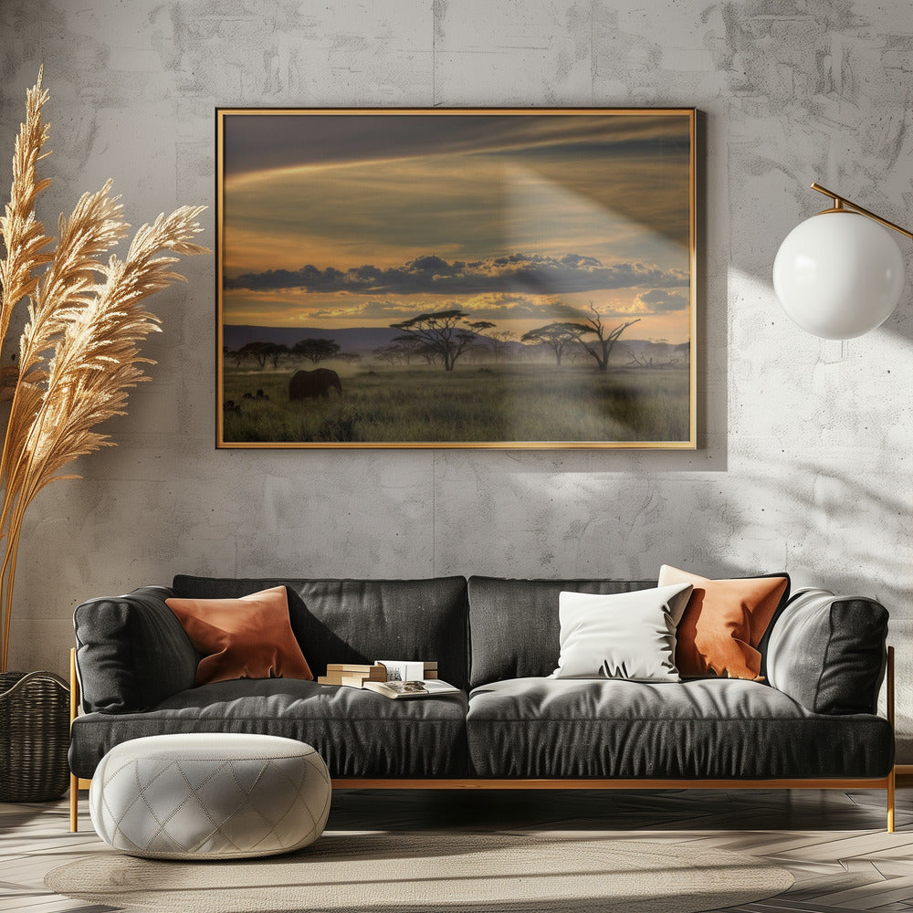 Africa | Poster