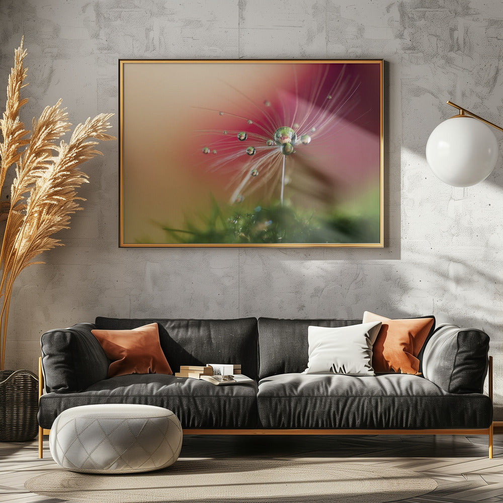 Punainen aamu | Julisteet - Taidevedokset