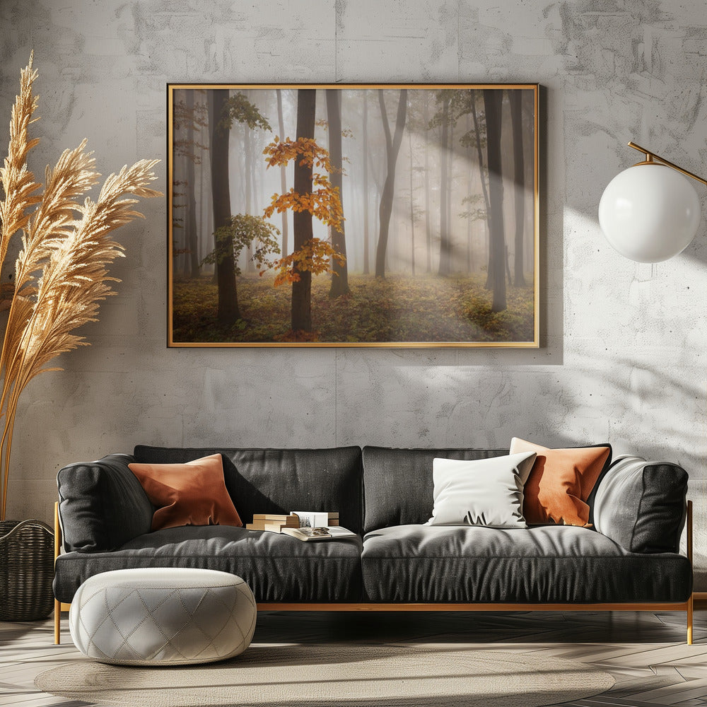 In November Light | Poster