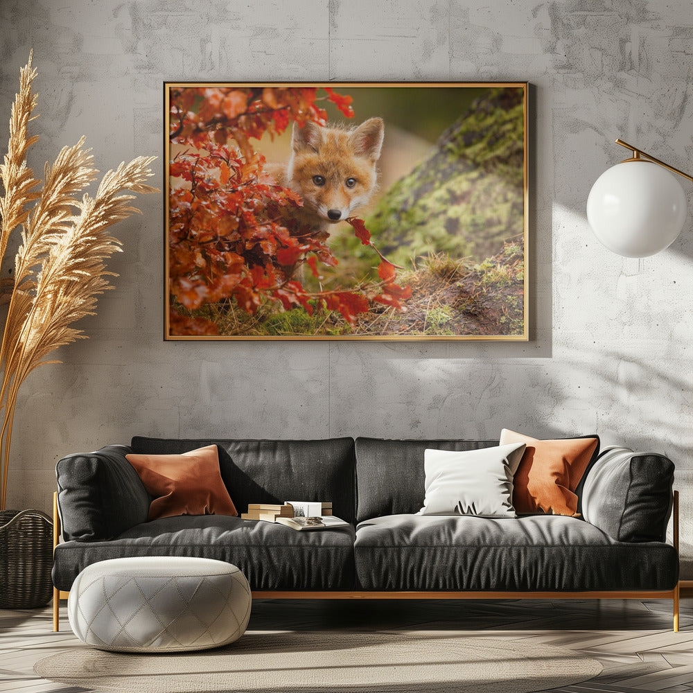 Fox | Poster