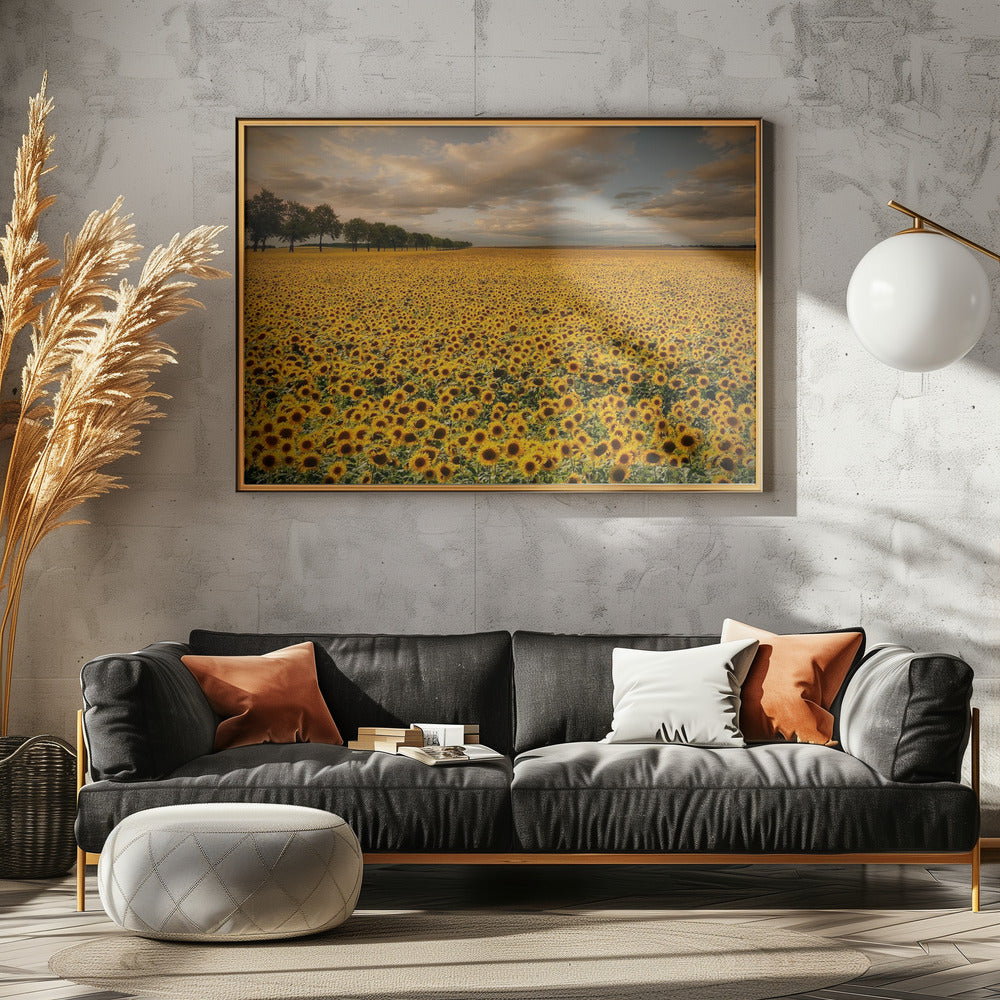 Sunflowers | Poster