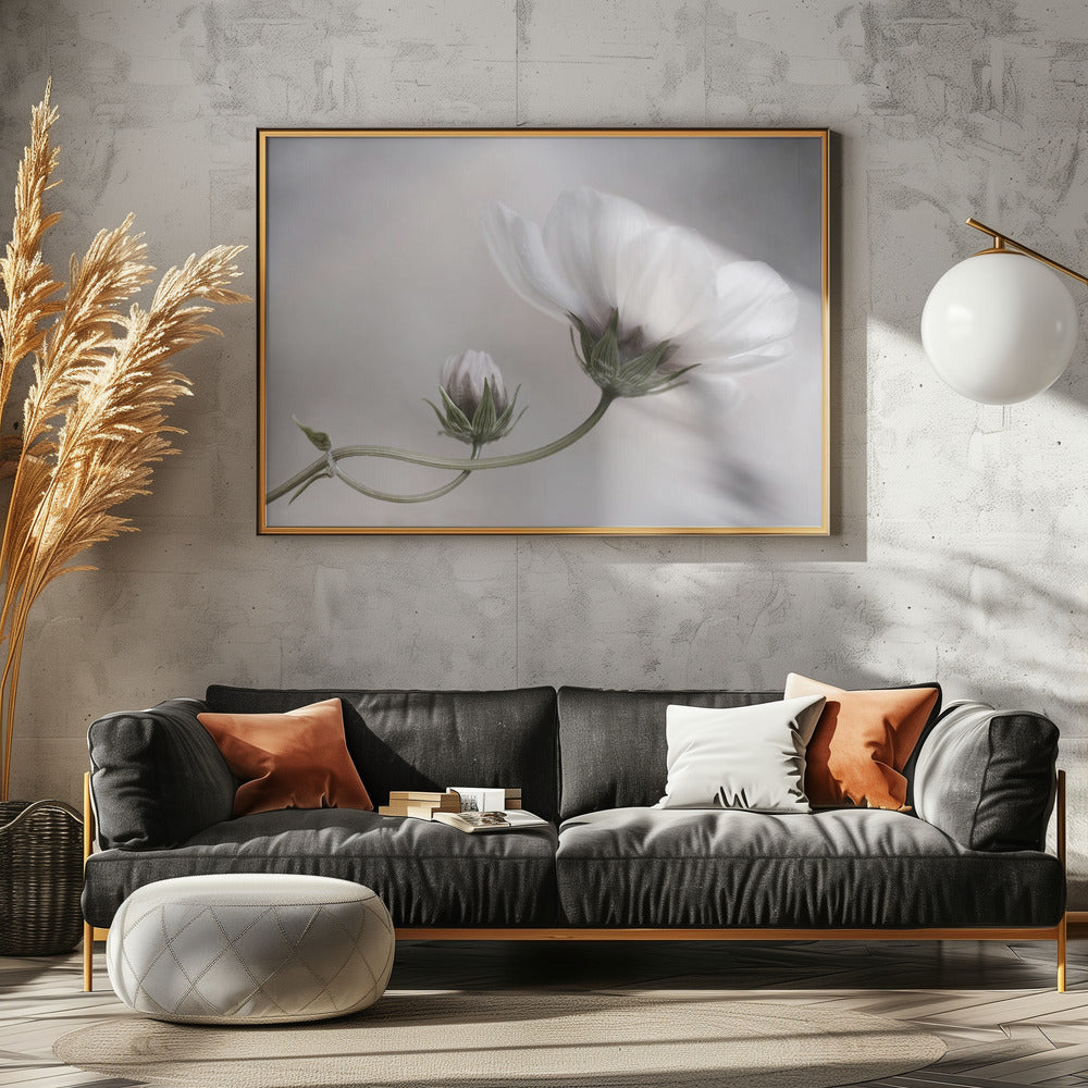 Simply Cosmos | Poster