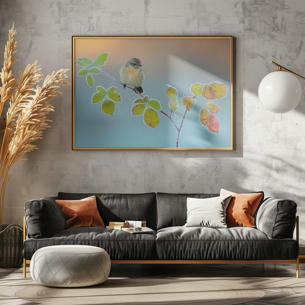 Winter colors | Poster