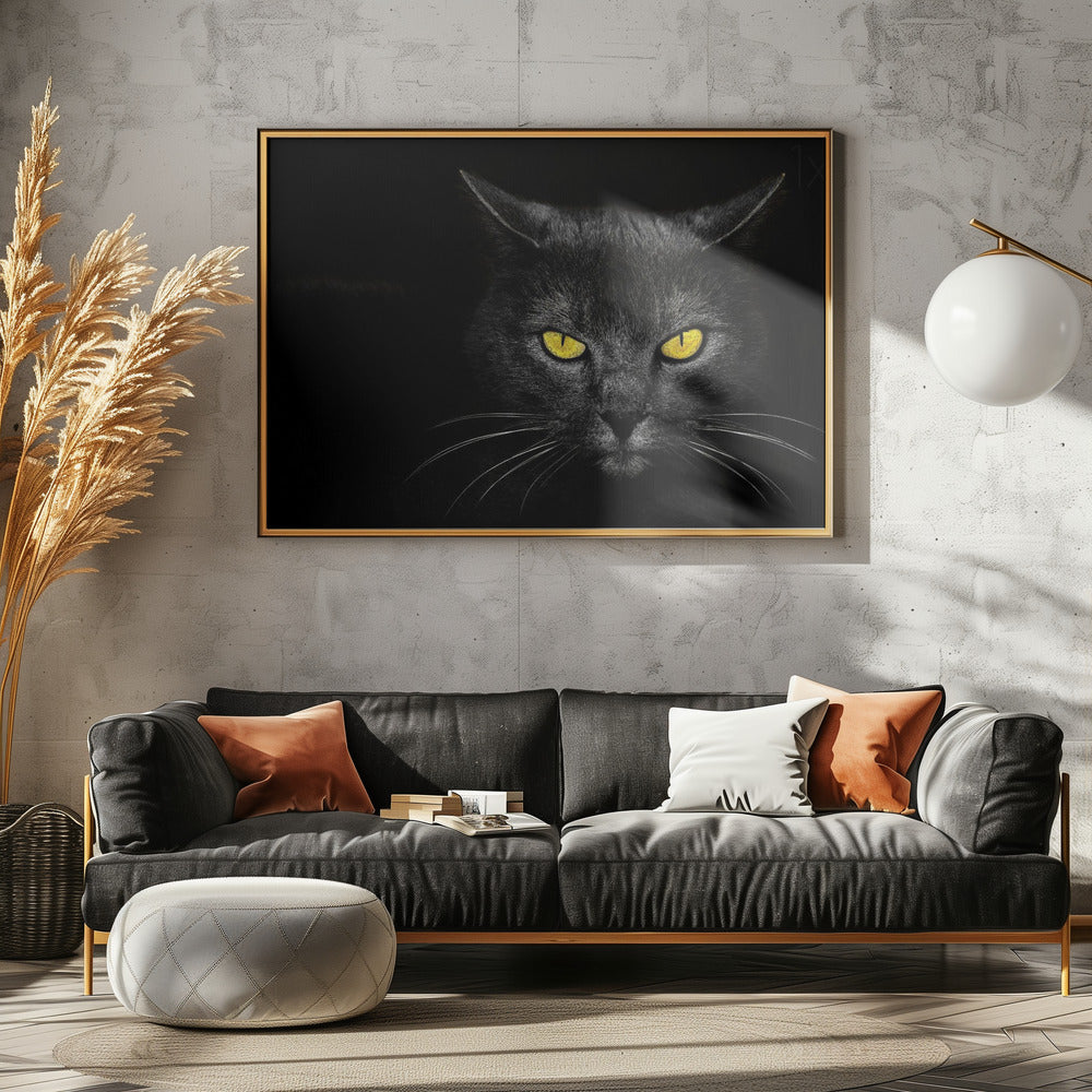 Black Cat | Poster