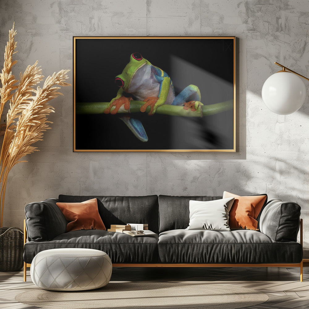 Curiosity | Poster