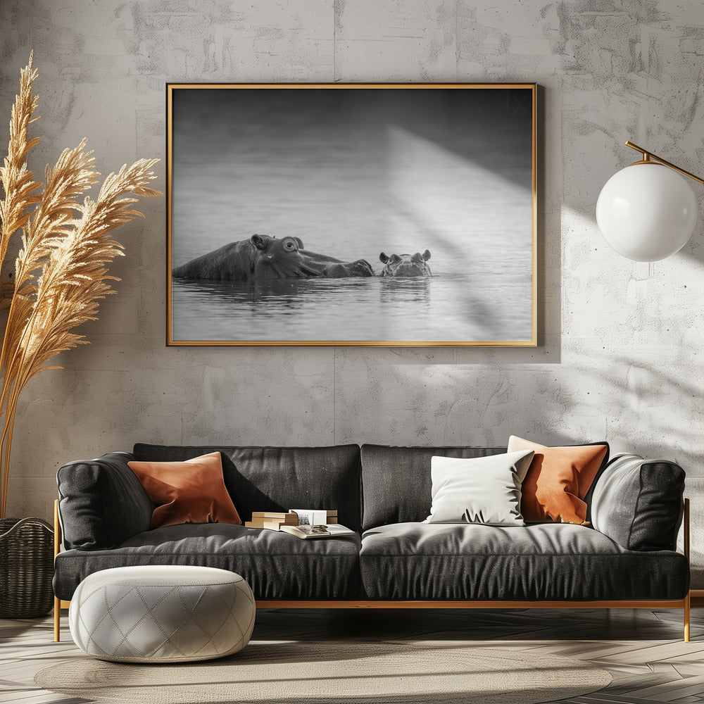 Silmien taso | Julisteet - Taidevedokset