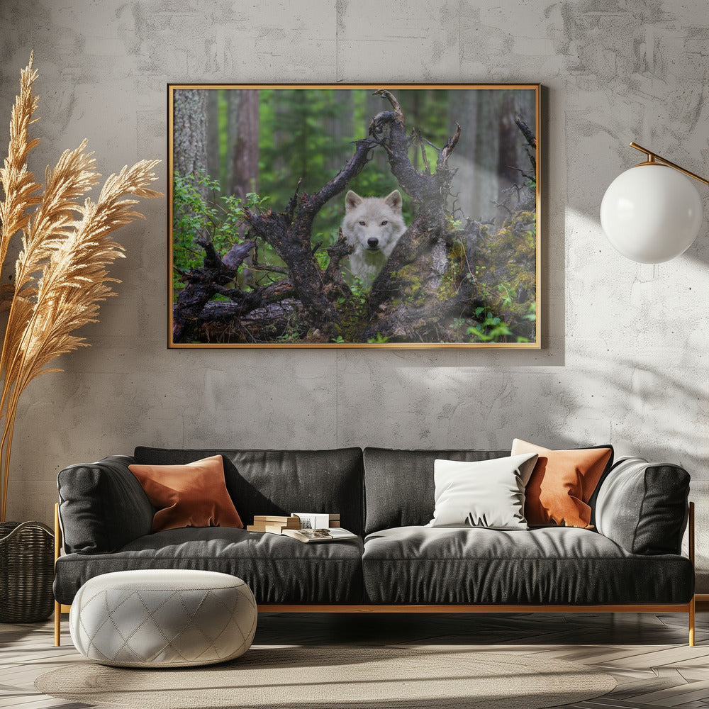 Wolf | Poster