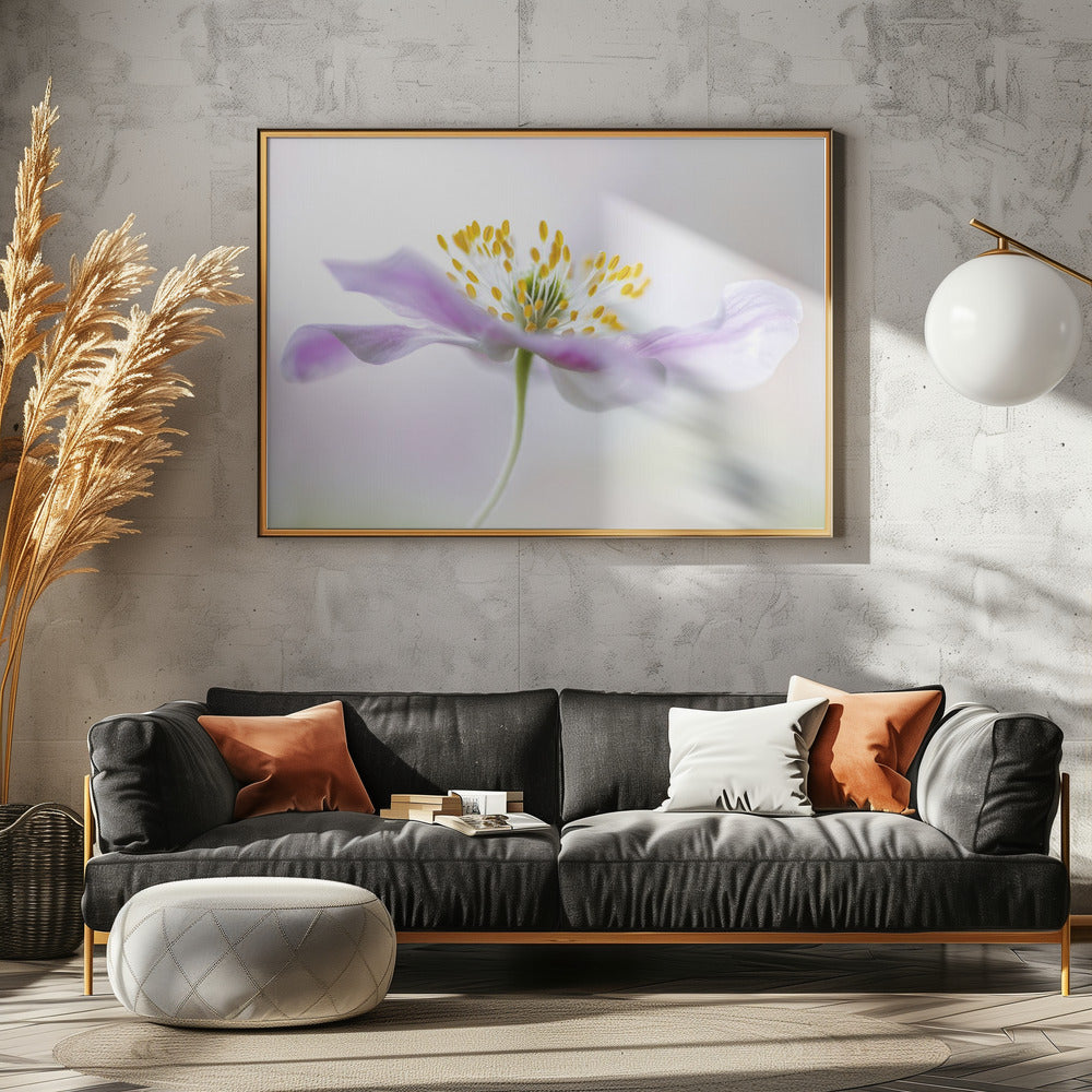 Wood Anemone | Poster