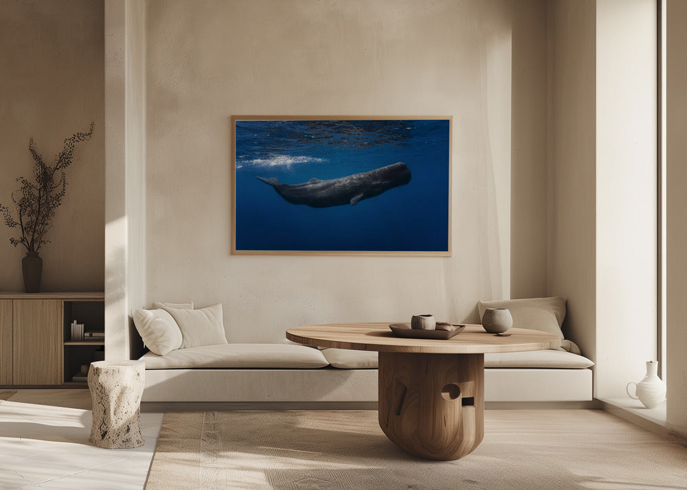 Sperm whale | Poster