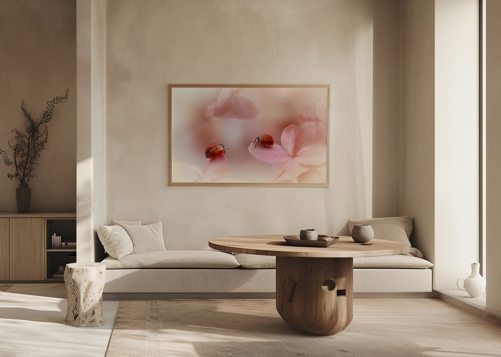 Marienkäfer auf rosa Hortensien. | Poster - Kunstdruck