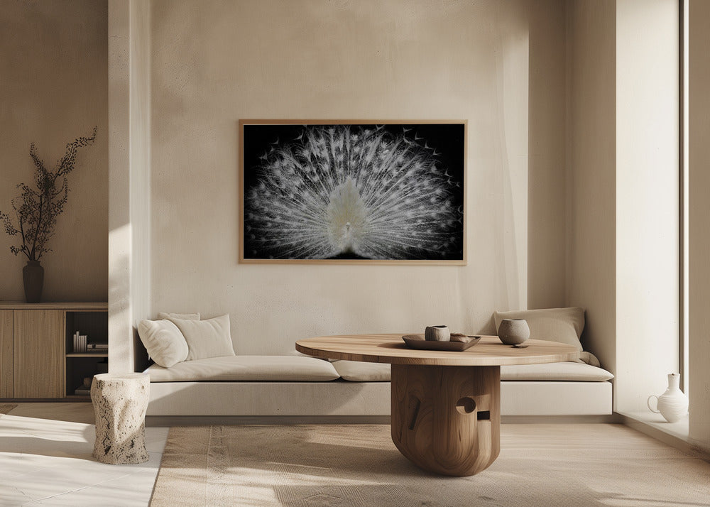 mustavalkoinen, | Julisteet - Taidevedokset