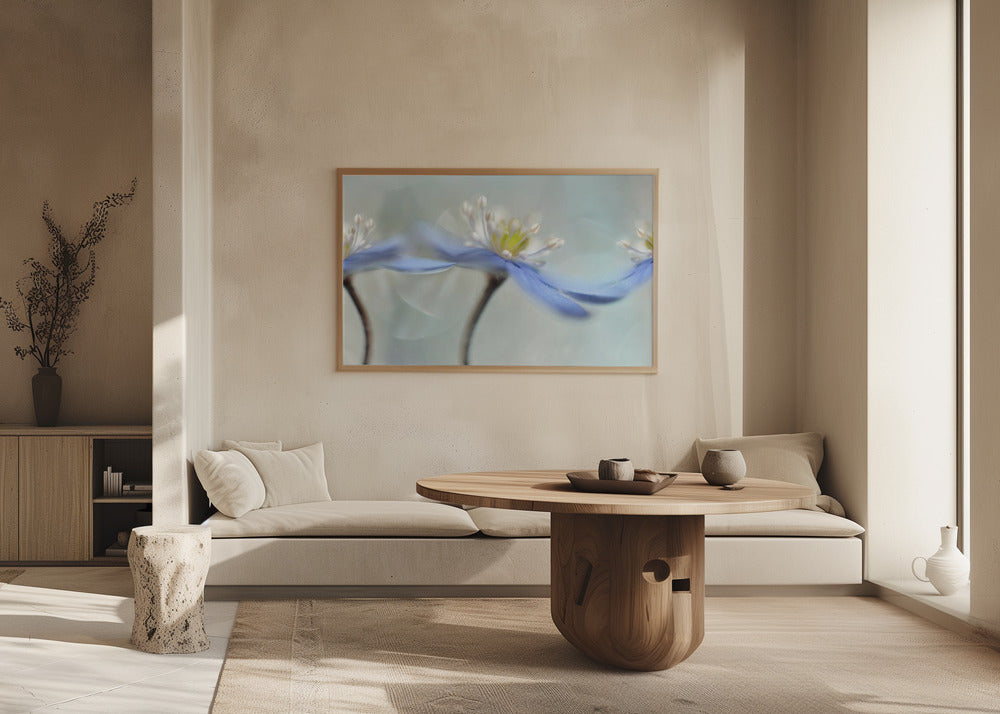 Dancing anemones | Poster