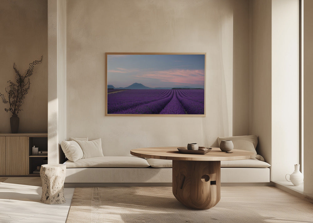 Lavender field | Poster