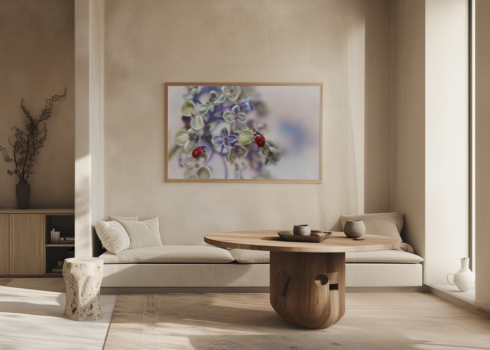 Hauras | Julisteet - Taidevedokset