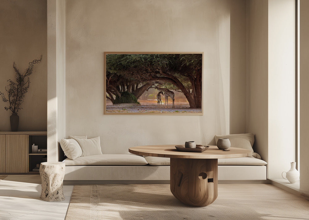 Kirahvi - Namibia | Julisteet - Taidevedokset