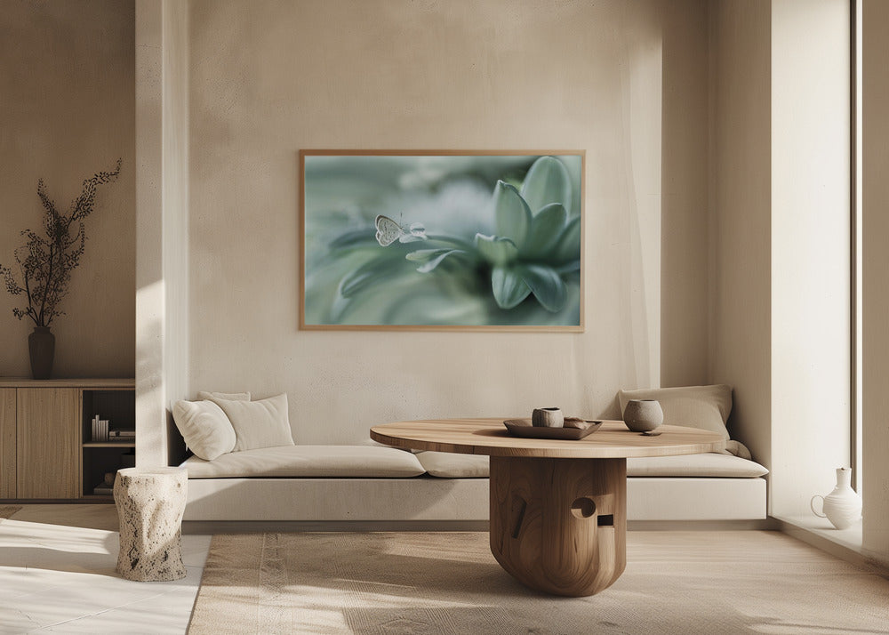 taikapallo | Julisteet - Taidevedokset