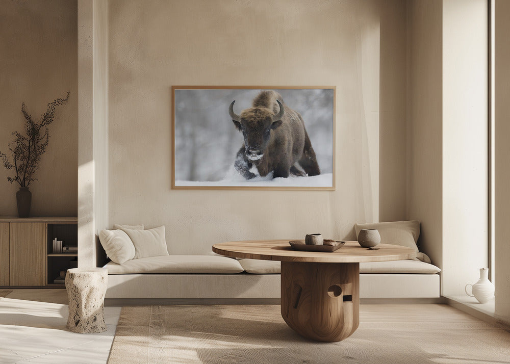 Uudelleen villiintynyt | Julisteet - Taidevedokset