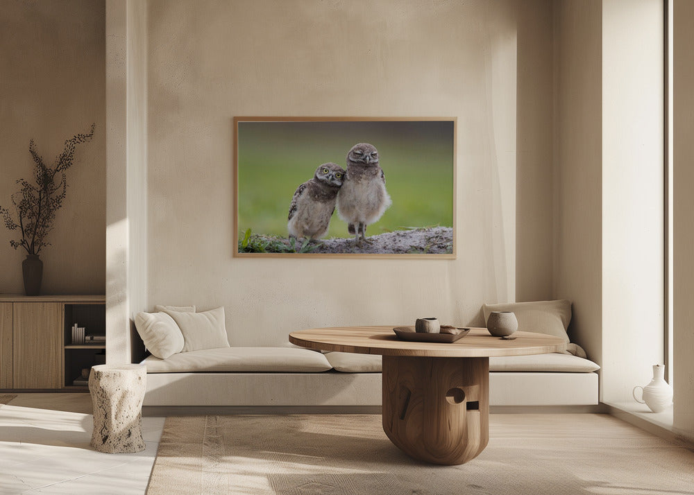 Ystävät | Julisteet - Taidevedokset