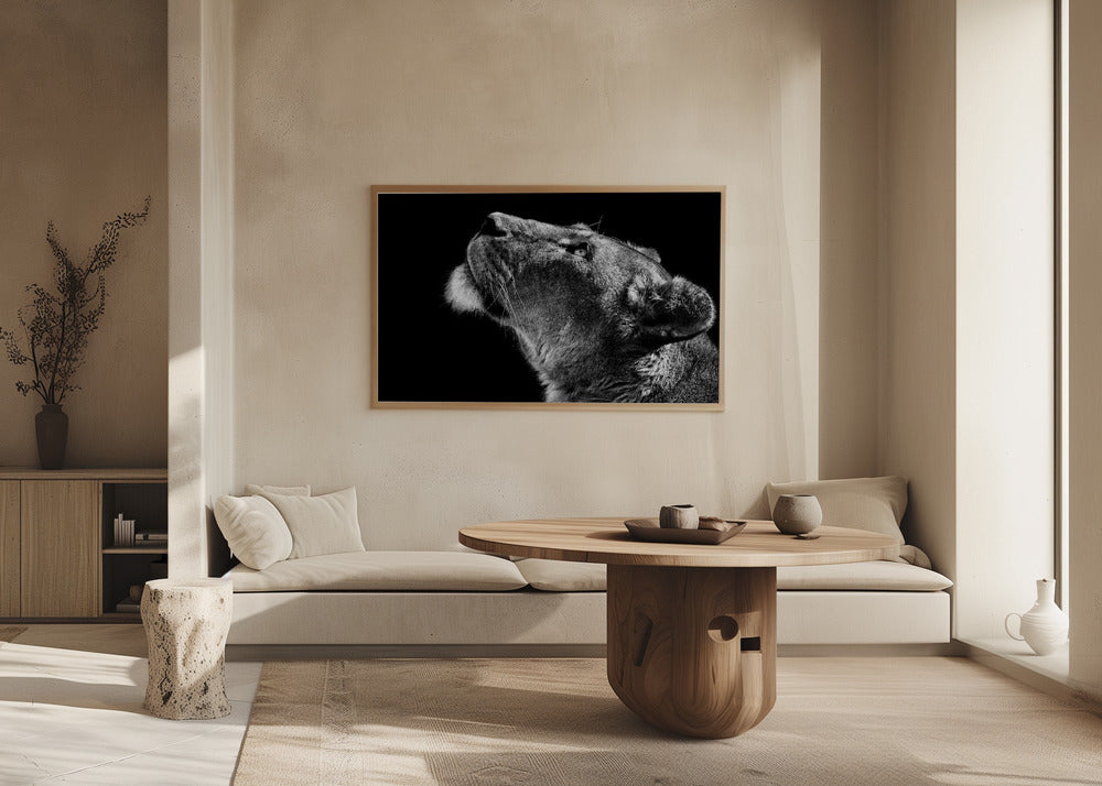 Katse ylös | Julisteet - Taidevedokset