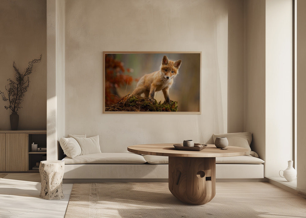 Zorro | Posters  - Impresiones de Arte