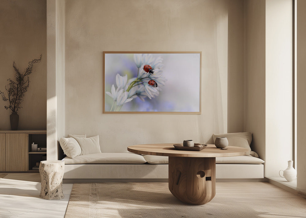 Ladybirds | Poster