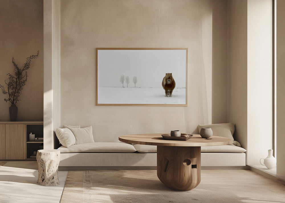 Kylmä poni | Julisteet - Taidevedokset