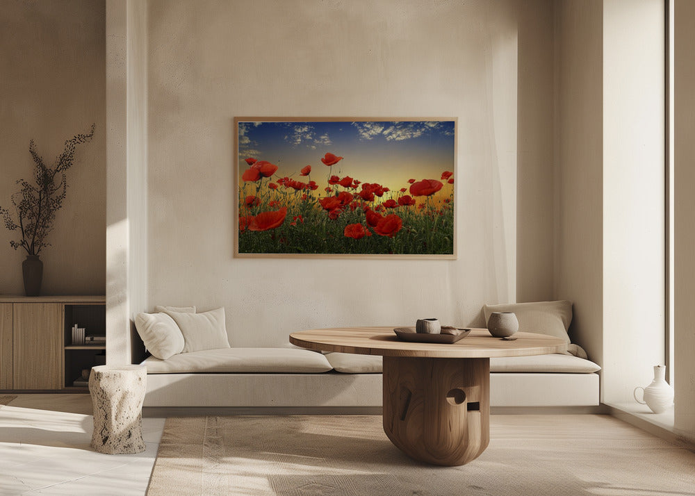 Poppies | Poster