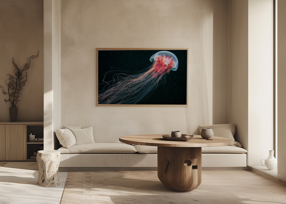 Pitkähäntäinen | Julisteet - Taidevedokset