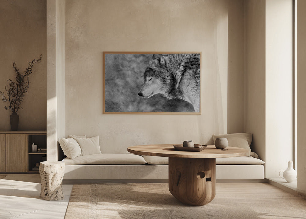 Anna sataa lunta | Julisteet - Taidevedokset