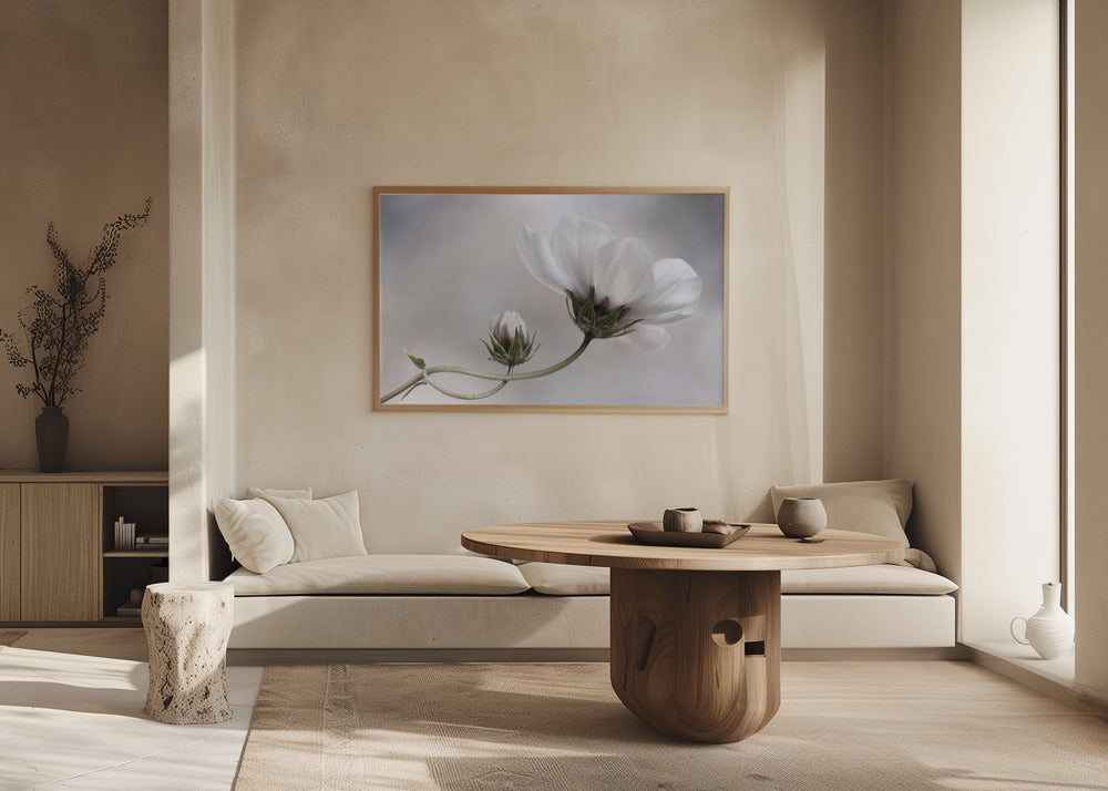 Simply Cosmos | Poster