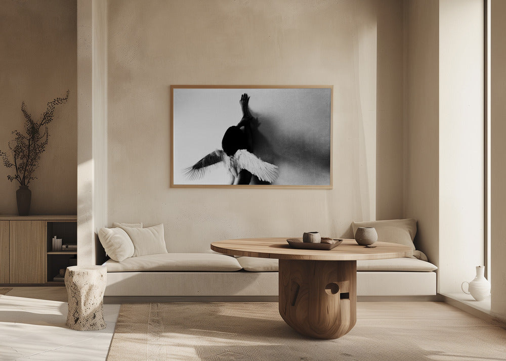 ei lennä | Julisteet - Taidevedokset