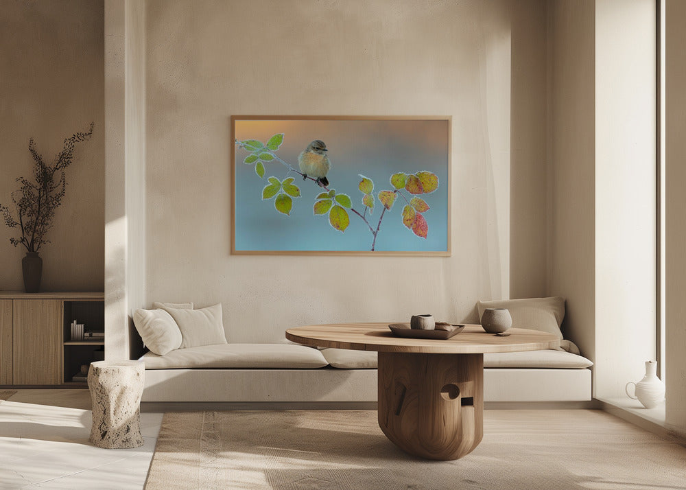 Winter colors | Poster
