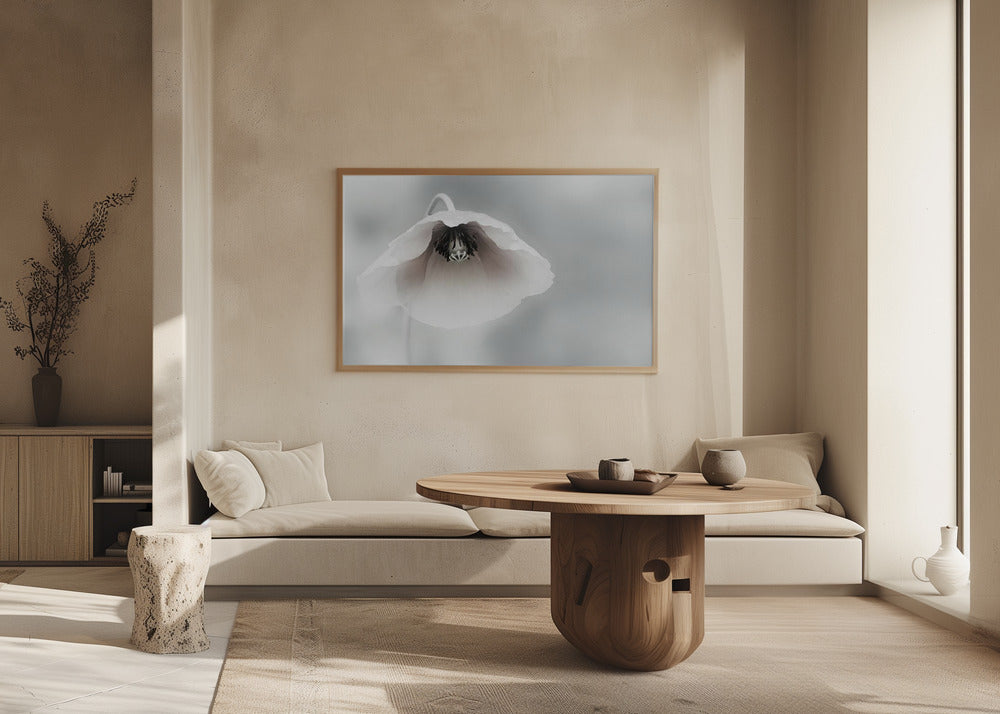 Vergängliche Schönheit | Poster - Kunstdruck