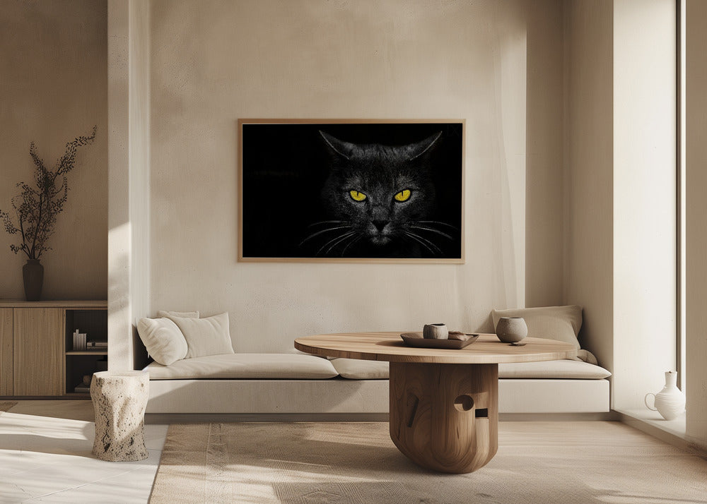 Musta kissa | Julisteet - Taidevedokset