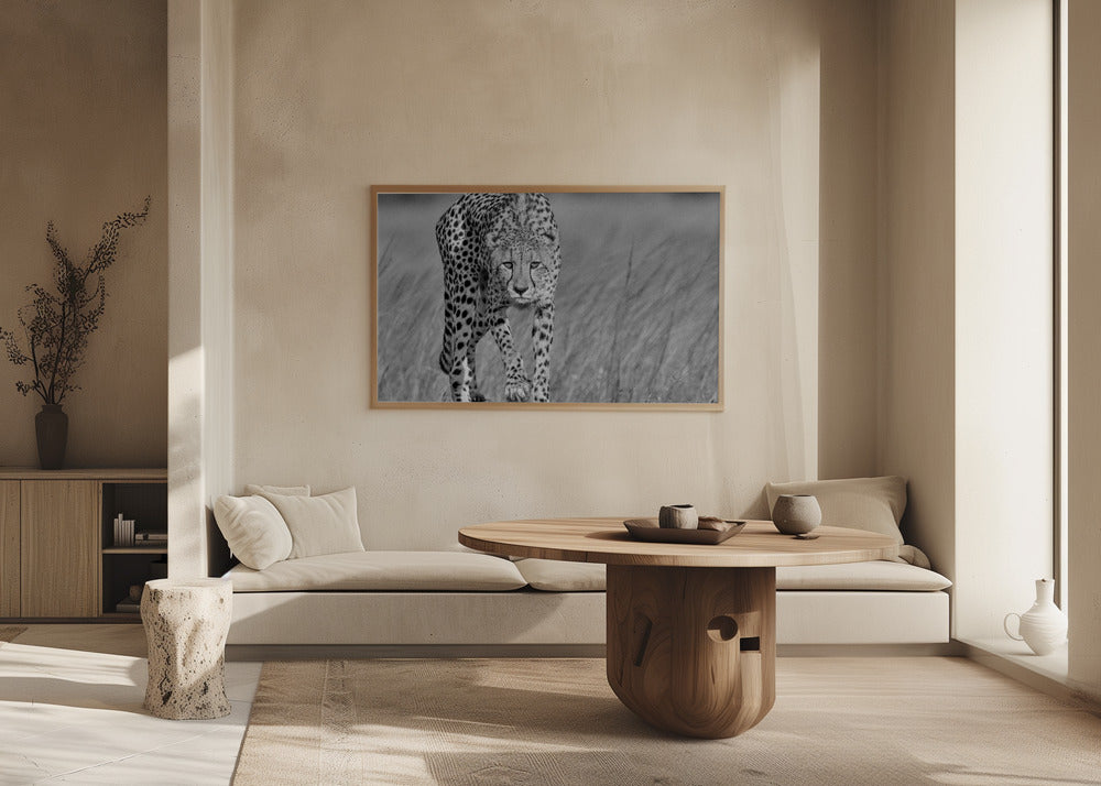 Focused predator | Poster