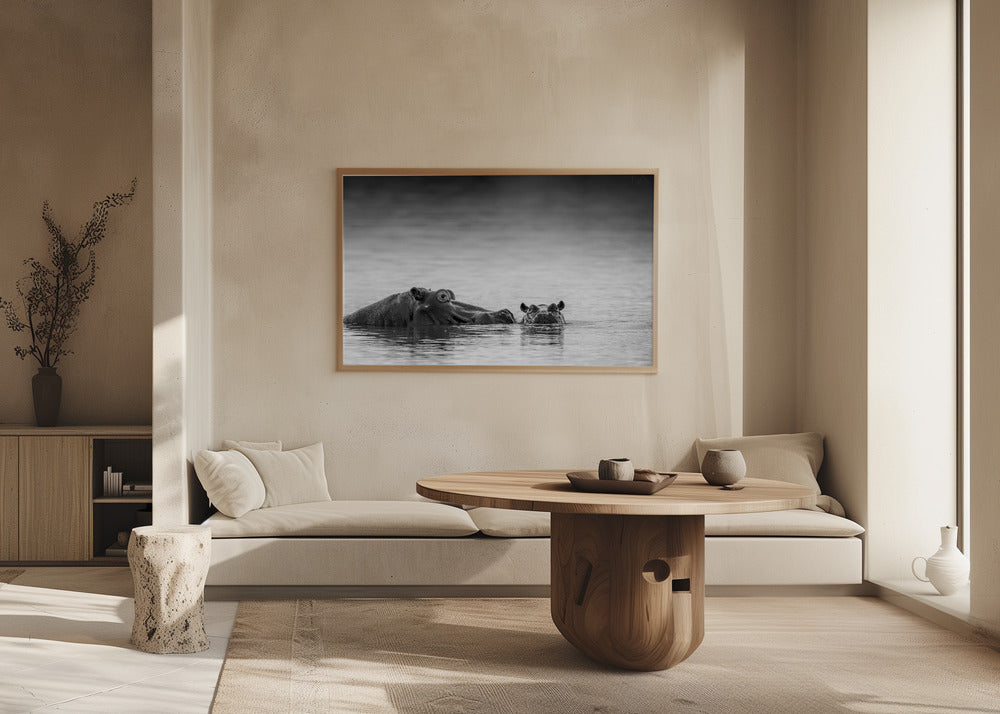 Silmien taso | Julisteet - Taidevedokset