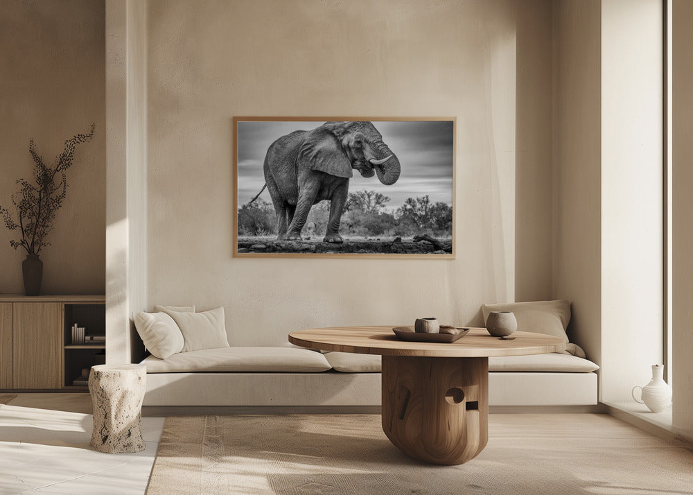 Seisova ylpeänä | Julisteet - Taidevedokset