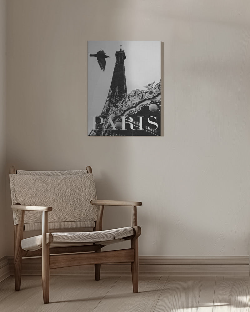 Paris Dove | Canvas