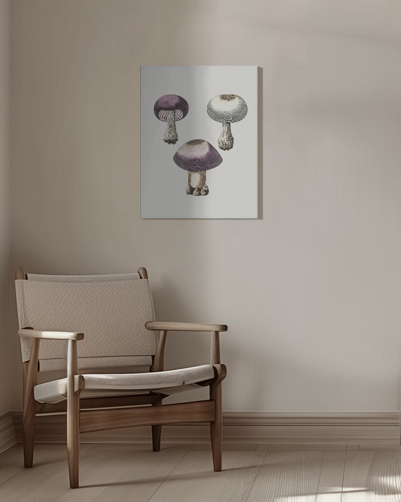 Hand Darwn Violet Webcap Mushroom | Canvas