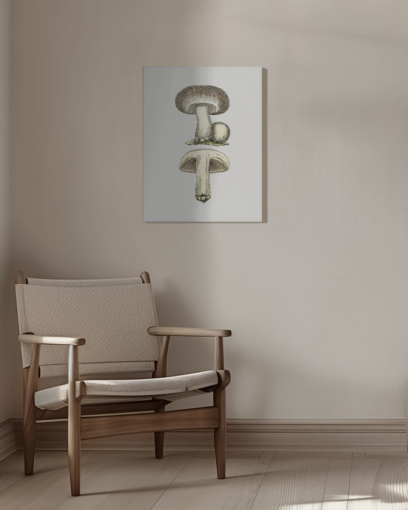 Hand Drawn Field Mushroom Gray | Canvas