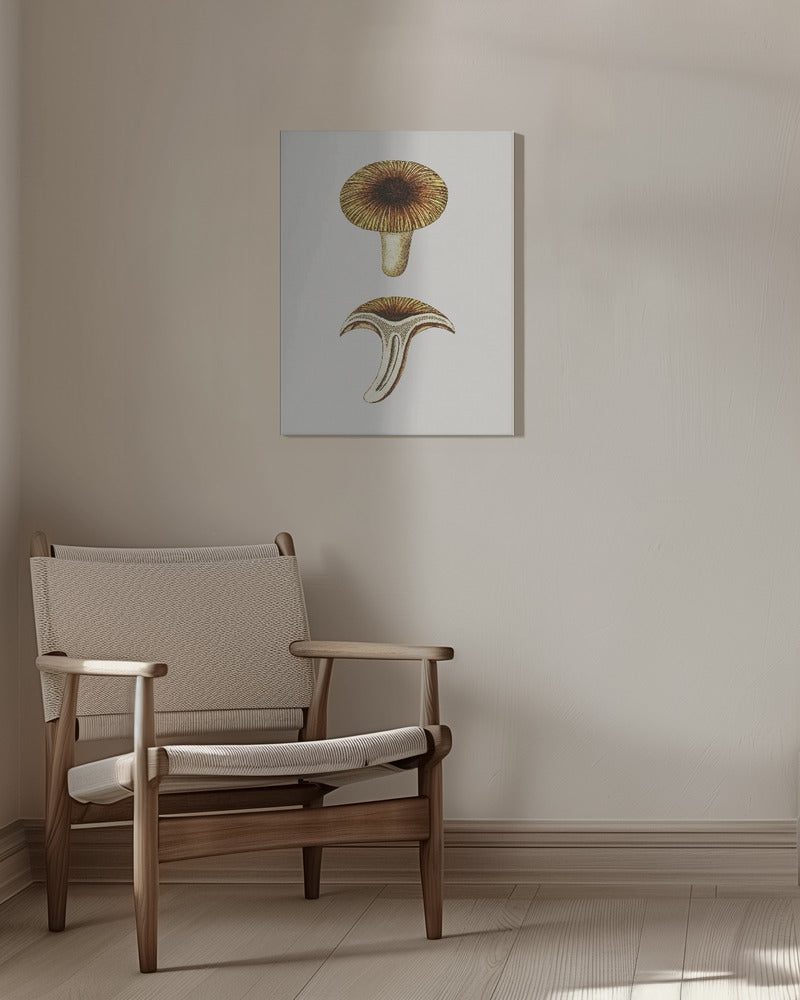 Vintage Chanterelles Edible Mushroom | Canvas