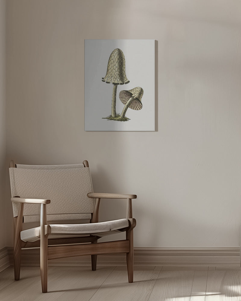 Vintage Inky Cap Edible Mushroom | Canvas