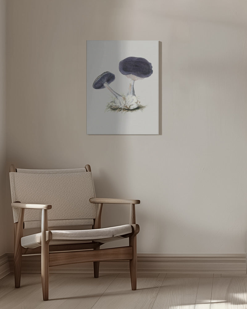 Vintage Violet Webcap Mushroom | Canvas