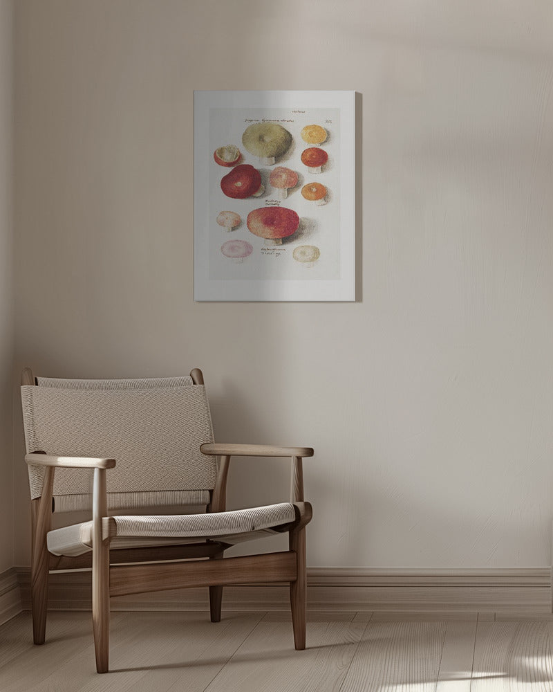 Boleten, Boletales Standing | Canvas