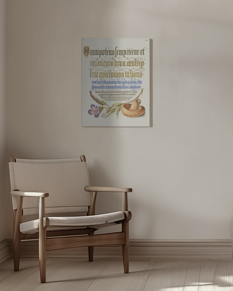 Mushroom Poster | Canvas