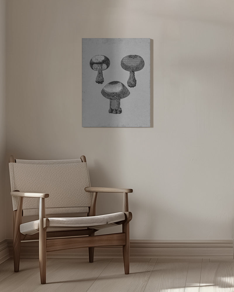 Violet Webcap Mushroom | Canvas