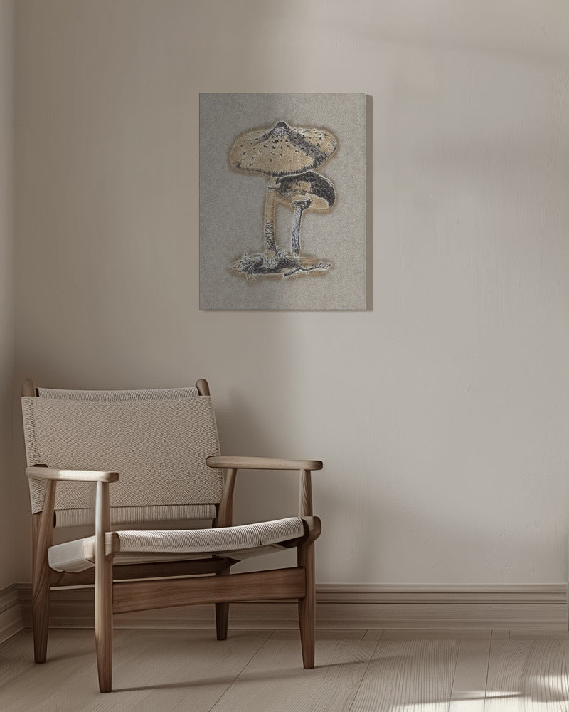 Hand Drawn Parasol Mushroom Brown | Canvas