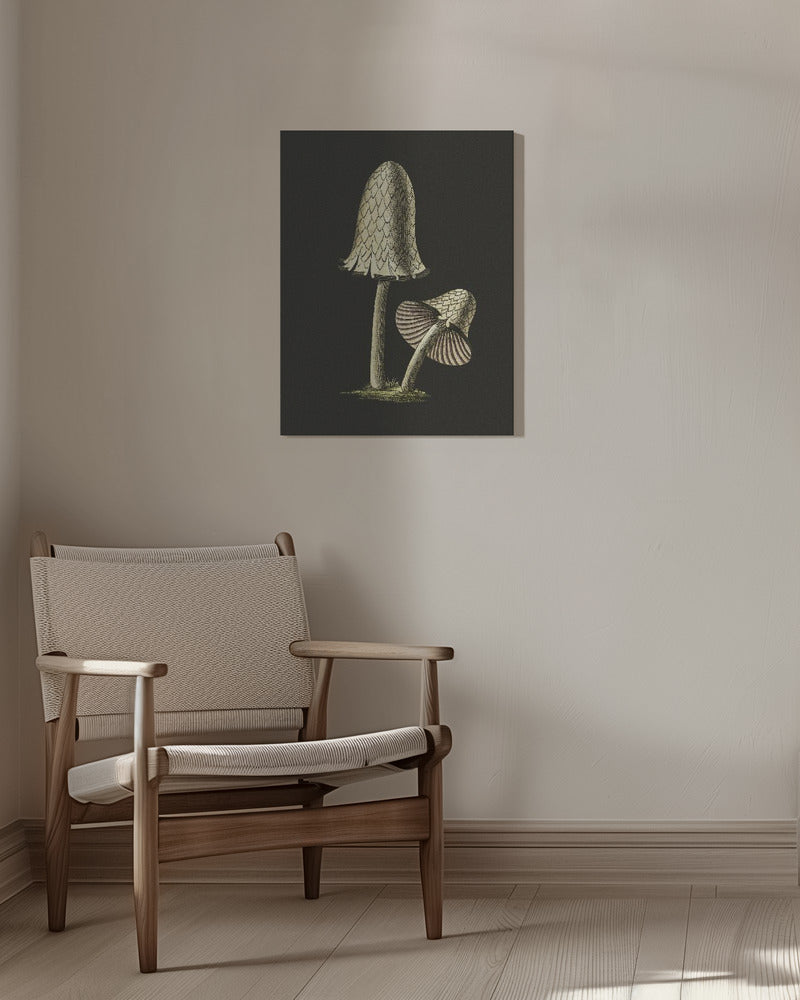 Vintage Inky Cap Edible Mushroom Black Background | Canvas