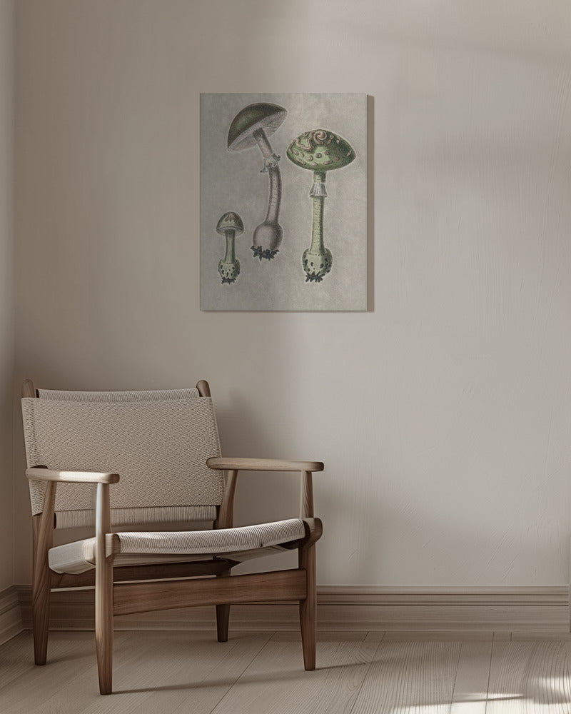 Amanita Muscaria Remix Green | Canvas
