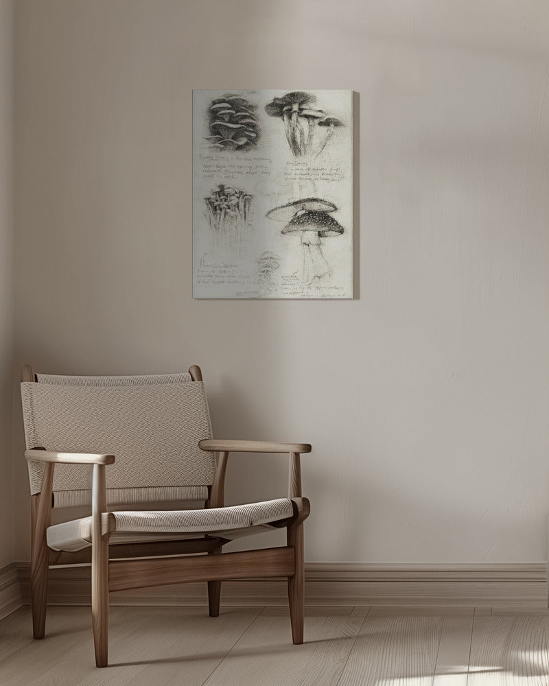 Various Botanical Mushrooms | Canvas